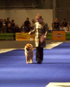 Breed parade 2004