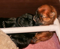 Sleeping together